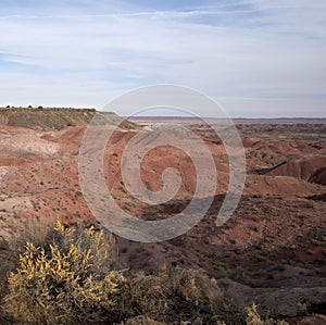Petrified Forest and Painted Desert National Park Arizona