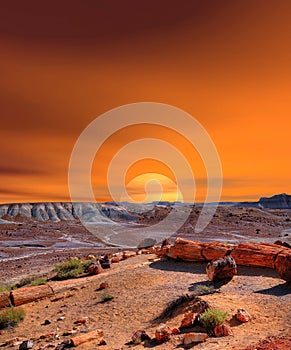 Petrified Forest