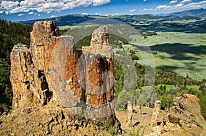 Petrified Forest, Yellowstone