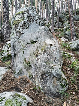 Petrified giant`s head staring up at the sky