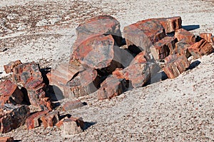 Petrified log broken into pieces