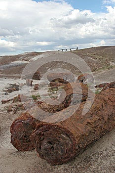 Petrified logs at painted desert