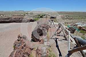 Petrified National Forest Long Fallen Logs with Barricades