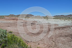 Petrified National Forest Sandy Desert Crusty Surface