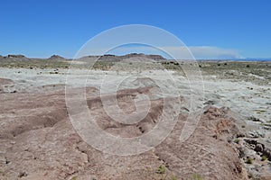 Petrified National Forest Sandy Desert Crusty Surface