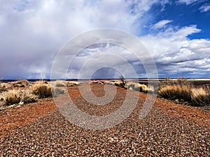 Petrified National Forest, spring, gravel, road, scenery, background, blue sky, grassland