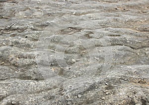 Petrified ocean bottom at island of Bornholm Denmark photo