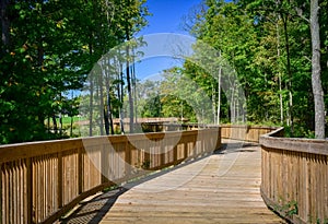 Petrified Springs Park Boardwalk