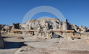 Petrified tree trunk in the badlands