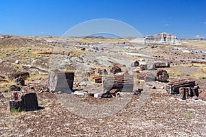 Petrified trunks and wood in Petrified Forest National Park Arizona USA