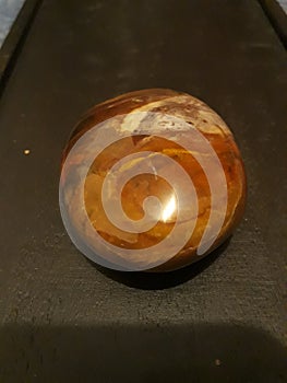 Petrified wood