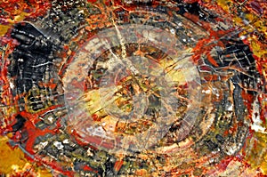 Petrified wood agglomerate