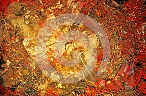 Petrified wood agglomerate