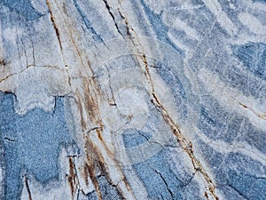 Petrified Wood with Blue Hue