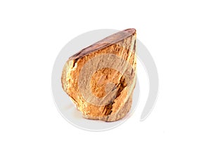 Petrified Wood