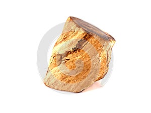 Petrified Wood