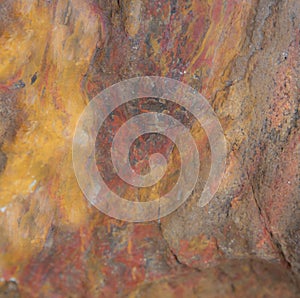 Petrified wood that looks like colorful stone