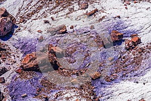 Petrified Wood Rocks National Park Arizona photo