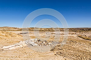 Petrified wood, tree log in the desert, climate change, global warming