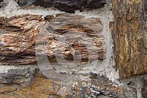 Petrified wood used as stone wall