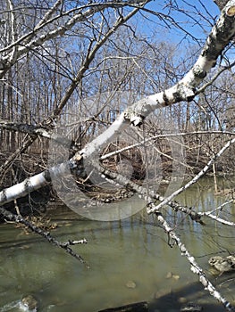 Petrifying spring River in Kenosha Wisconsin