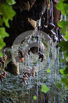 Petrifying Well Mother Shiptons Cave Knaresborough