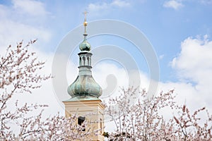 Petrin hill, cherry apple blossom, Tower of catholic Church of Our Lady Victorious and The Infant Jesus in Mala Strana, spring
