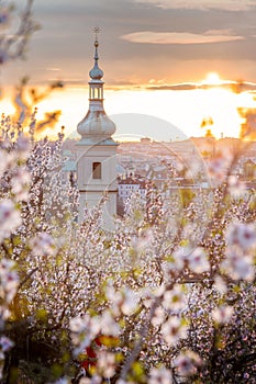 Petrin hill at sunrise, Lesser town, Prague, Czech republic