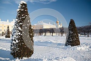 Petrodvorets - winter photo