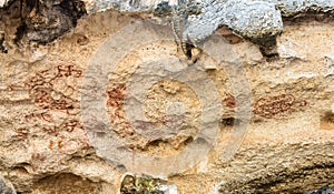 Petroglyph in Bonaire, netherlands antilles