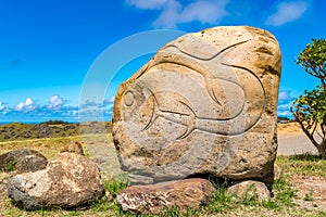 Petroglyph on Easter Island or Rapa Nui