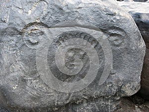 Petroglyph King of Atures, in litle island of orinoco photo
