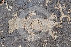 Petroglyph of a Lizard