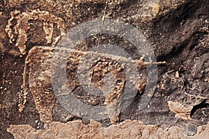 Petroglyph in Morocco