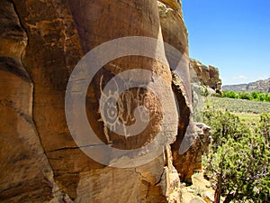 Petroglyph panel at McConkie Ranch near Vernal, Utah. photo