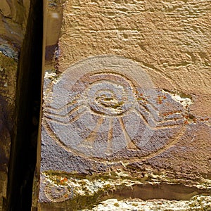 Petroglyph panel at McConkie Ranch near Vernal, Utah. photo