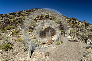 Boca Negra Petroglyph Canyon Trail located in Albuquerque New Mexico USA photo