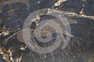 Petroglyph in Sarmishsay, Uzbekistan