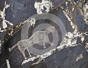 Petroglyph in Sarmishsay, Uzbekistan