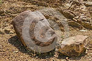 A Petroglyph in Wadi Al Hayl