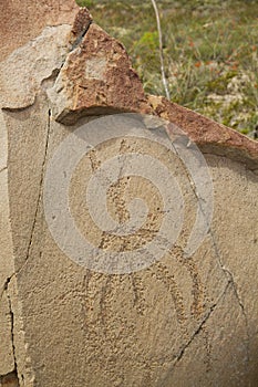 Petroglyphs at Boca de Potrerillos, Nuevo LeÃÂ³n, MÃÂ©xico photo