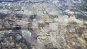 Petroglyphs carved into rocks at Gosford Australia