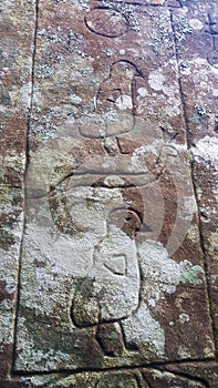 Petroglyphs carved into rocks at Gosford Australia