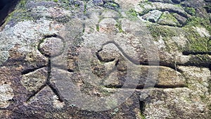 Petroglyphs carved into rocks at Gosford Australia