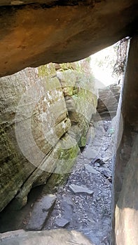 Petroglyphs carved into rocks at Gosford Australia