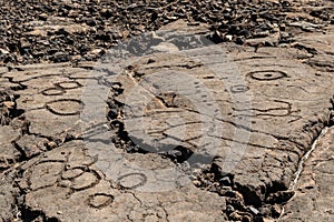 Petroglyphs carved in volcanic rock on King`s Trail, Kona, Hawaii