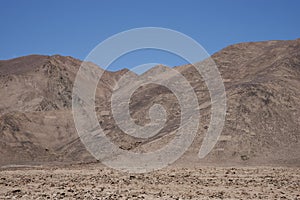 Petroglyphs at Cerro Pintados, Atacama Desert, Chile