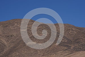 Petroglyphs at Cerro Pintados, Atacama Desert, Chile photo