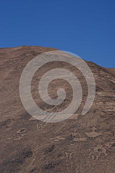 Petroglyphs at Cerro Pintados, Atacama Desert, Chile photo