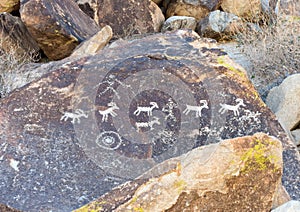 Petroglyphs, Grapevine Canyon, Nevada